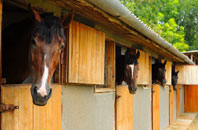 free Pusey stable construction quotes